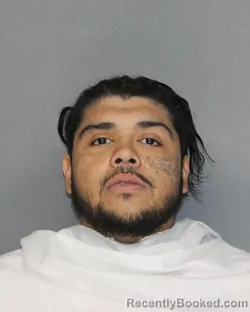 Mugshot of FERNANDO JR ALBA