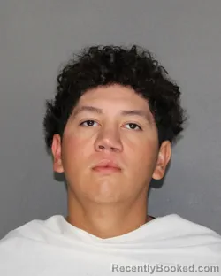 Mugshot of ELIAN ANTONIO JIMENEZ