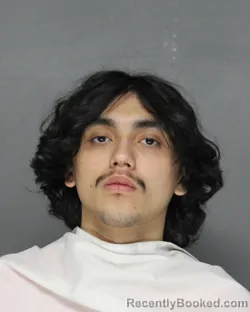 Mugshot of MAURICIO VEGA