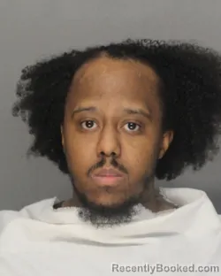 Booking photo from Ellis County, Texas