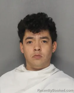 Booking photo from Ellis County, Texas