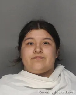 Mugshot of ARIANA DELEON