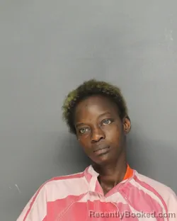 Mugshot of STEPHANY CAROL J HOLLINS