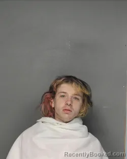 Mugshot of CHRISTIAN BRISENDINE