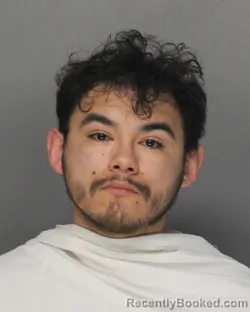 Mugshot of FRANSICO FELICIANO MORALES