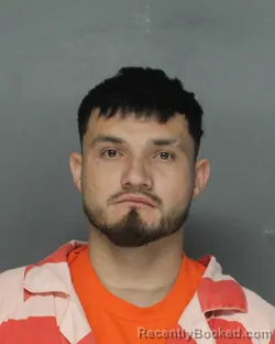Mugshot of EDWIN AROLDO VELIZ-VELIZ
