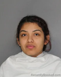 Mugshot of NAYZEHT JANITZA PALACIOS