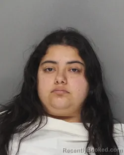 Mugshot of DELILA LAZO