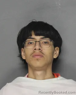 Mugshot of VICENTE ADRIAN ARVIZU