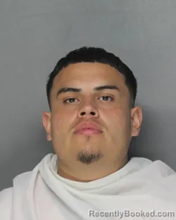 Mugshot of LUIS RODOLFO GARCIA MEDINA