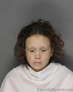 Mugshot of TERESA MARIE HUDSPETH