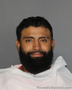 Mugshot of JOSE C BUSTAMANTE NAVARRO