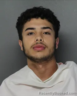 Mugshot of AMIR RAMSIS MOHAMED SAIF-ALI