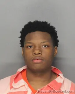 Mugshot of TIMAUDRICK ROBERTS