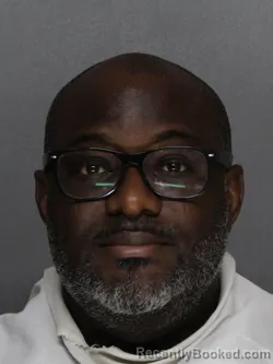 Mugshot of OLUGBEMI OLUMAYOKUN ELEGBE