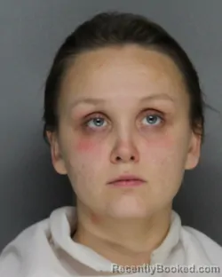 Mugshot of CHEYENNE DANNIELLIE TURNER