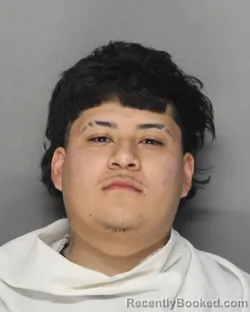 Mugshot of NICHOLAS MATTHEW ORTIZ