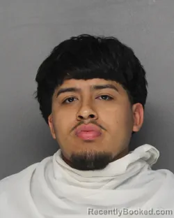Mugshot of JESUS RIVAS