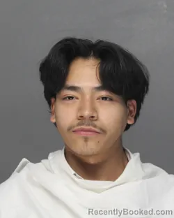 Mugshot of JC EDMARD VAZQUEZ SESNA booked in Ellis County, Texas on March 29, 2026