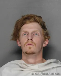 Mugshot of ARIN THOMAS LOLLEY booked in Ellis County, Texas on March 29, 2026