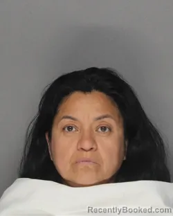 Mugshot of DORA GARICA booked in Ellis County, Texas on March 29, 2026