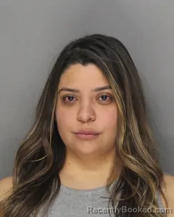 Mugshot of JAZMIN CHARCO booked in Ellis County, Texas on March 29, 2026