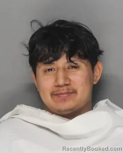 Mugshot of FRANCISCO BAHENA-MALDONADO booked in Ellis County, Texas on March 30, 2026