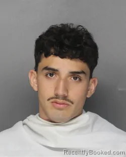 Mugshot of DARWIN SINAHI BETANCOURT ESCOTO booked in Ellis County, Texas on March 30, 2026