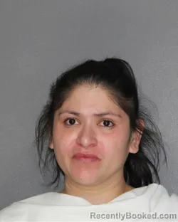 Mugshot of MARISELLA EVANS booked in Ellis County, Texas on March 31, 2026