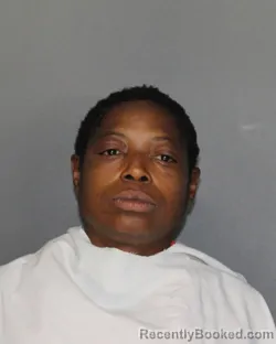 Mugshot of TEARRA LATRICE WILLIS booked in Ellis County, Texas on April 3, 2026