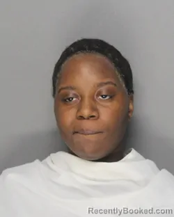 Mugshot of DESTYNEE UNIQUE GOLDEN booked in Ellis County, Texas on April 3, 2026