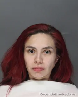 Mugshot of ELIZABETH MORENO booked in Ellis County, Texas on April 4, 2026