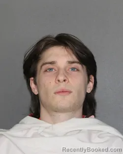 Mugshot of JARED SCOTT CARLINO booked in Ellis County, Texas on April 24, 2026