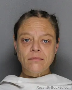 Mugshot of TERESA EVADEAN PERKINS booked in Ellis County, Texas on April 24, 2026