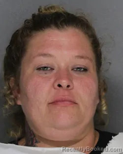 Mugshot of JESSICA ANN BANEGAS-MONTES booked in Ellis County, Texas on April 24, 2026