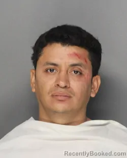 Mugshot of SELVIN CHAVEZ CABALLERO booked in Ellis County, Texas on April 24, 2026