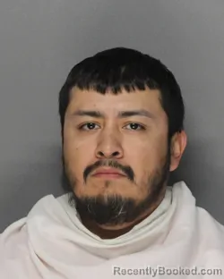 Mugshot of RALPHAEL MORALES booked in Ellis County, Texas on April 25, 2026