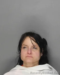 Mugshot of KATHY LYNETTE LIPTAK booked in Ellis County, Texas on April 27, 2026