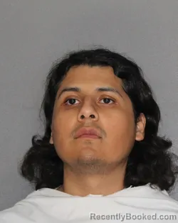 Mugshot of DAVID ALFREDO LOPEZ booked in Ellis County, Texas on April 27, 2026