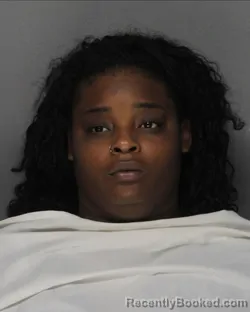 Mugshot of SARAH BRANISHA HAMPTON booked in Ellis County, Texas on April 28, 2026