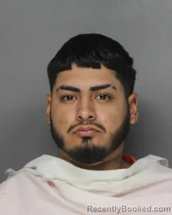 Mugshot of ERIK GABRIEL GUZMAN-DELMAN booked in Ellis County, Texas on April 29, 2026