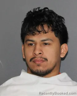 Mugshot of RICARDO TRINIDAD HERNANDEZ booked in Ellis County, Texas on May 2, 2026