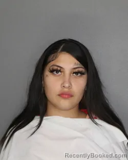 Mugshot of CRYSTAL OLIVIA DELLANO booked in Ellis County, Texas on May 6, 2026