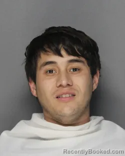 Mugshot of ADRIAN GONZALEZ booked in Ellis County, Texas on May 7, 2026