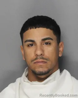 Mugshot of ALEJANDRO LOPEZ booked in Ellis County, Texas on May 12, 2026