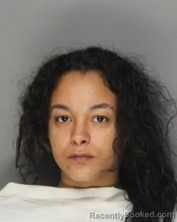 Booking photo from Ellis County, Texas