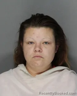 Mugshot of AMANDA ERWIN booked in Ellis County, Texas on May 14, 2026