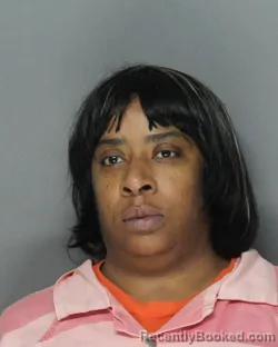 Booking photo from Ellis County, Texas