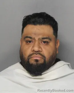 Booking photo from Ellis County, Texas