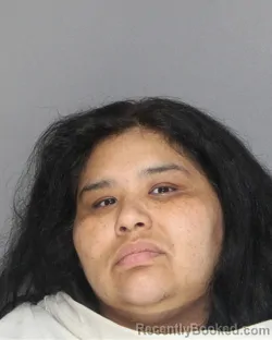 Mugshot of ERICA HOPE MORENO booked in Ellis County, Texas on June 16, 2026